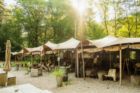 Hébergement glamping Buitenplaats Beekhuizen à Veluwe, Pays-Bas, entouré de forêt verdoyante.