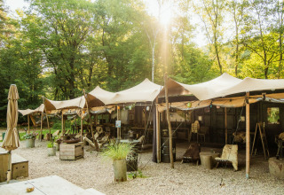 Alojamiento glamping en Buitenplaats Beekhuizen, Veluwe, Países Bajos, rodeado de bosque verde y frondoso.