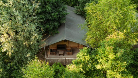 Glamping-accommodatie bij Buitenplaats Beekhuizen - Glamping Veluwe, verscholen tussen groene bomen in Nederland.