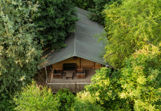 Glamping accommodation at Buitenplaats Beekhuizen - Glamping Veluwe, nestled among lush trees in the Netherlands.