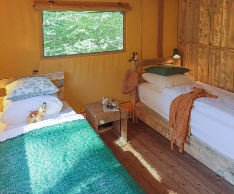 Gezellige glampingkamer met twee eenpersoonsbedden bij Buitenplaats Beekhuizen - Glamping Veluwe, boszicht.