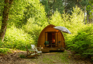 Glampinghytte i skoven ved Buitenplaats Beekhuizen - Glamping Veluwe, omgivet af grønne træer og buske.