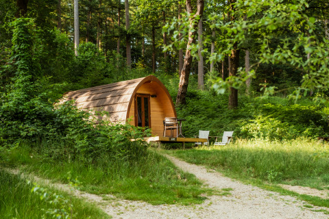 Hébergement glamping à Buitenplaats Beekhuizen, Veluwe, dans une forêt paisible avec cabane en bois incurvée.