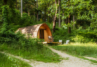 Glamping accommodatie Buitenplaats Beekhuizen, Veluwe, gelegen in vredige bossen met houten woning.