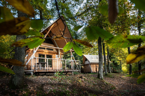 To træhytter i skoven ved Huttopia Wattwiller - Glamping Grand Est, omgivet af grønne og gule blade.