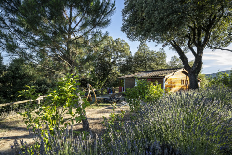 Wooden chalet surrounded by trees and garden at Domaine de Sévenier & Spa glamping in Auvergne-Rhône-Alpes.