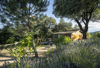 Wooden chalet surrounded by trees and garden at Domaine de Sévenier & Spa glamping in Auvergne-Rhône-Alpes.