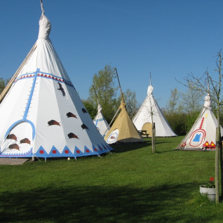 Several decorated tipis on a green lawn under a clear sky at Glamping De Bokkesprong in the Netherlands.