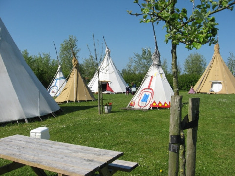 Alojamiento glamping en De Bokkesprong, Países Bajos, con tipis sobre césped bajo un cielo despejado.