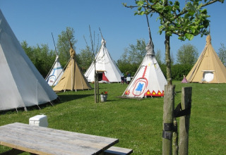 Hébergement glamping De Bokkesprong aux Pays-Bas avec des tipis installés sur une pelouse verdoyante.