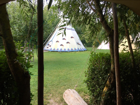 Vistas de tipis en una zona verde de Glamping - De Bokkesprong, rodeados de árboles y naturaleza.