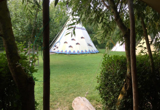 Vista su tipì immersi nel verde a Glamping - De Bokkesprong, circondati da alberi e natura rigogliosa.