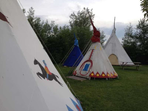 Alloggio glamping presso De Bokkesprong nei Paesi Bassi con tipì colorati su prato verde.