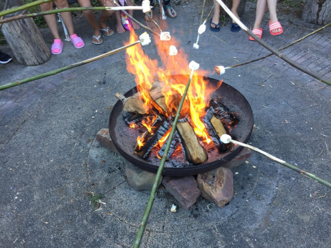 Des enfants font griller des marshmallows sur un feu de camp à Glamping - De Bokkesprong, Pays-Bas.
