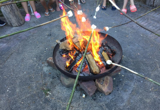Bambini arrostiscono marshmallow sul fuoco al campeggio Glamping - De Bokkesprong nei Paesi Bassi.