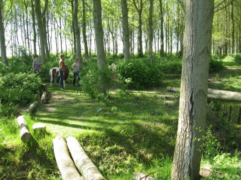 Mensen lopen met een pony in een bosrijk glampingterrein bij Glamping - De Bokkesprong in Nederland.