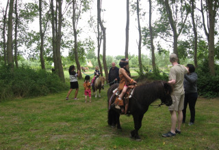Kinder und Erwachsene genießen einen Ponyritt im Wald nahe dem Glampingplatz De Bokkesprong in Holland.