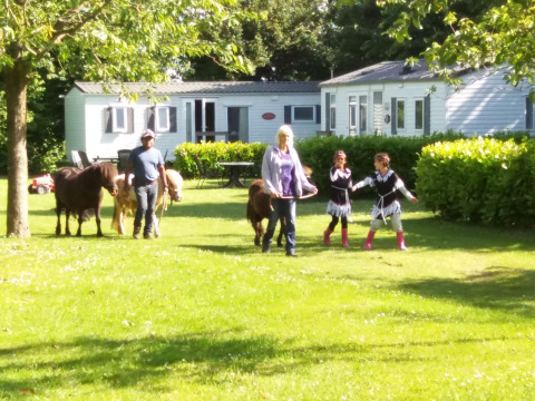Glamping bei De Bokkesprong mit Familien und Ponys vor Mobilheimen auf einer sonnigen Wiese.