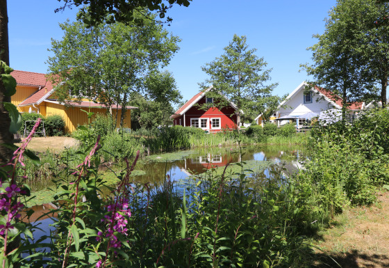 Farverige træhytter og frodige planter omkring en sø ved glampingpladsen Südsee-Camp i Niedersachsen.