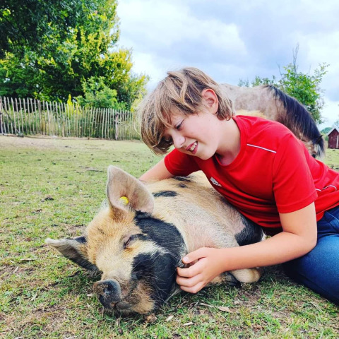 Boy in red shirt hugging a sleeping black-and-brown pig on grass at Stadslandgoed De Heicohoeve Glamping Lodges.