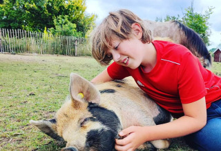 Junge im roten Shirt kuschelt mit schlafendem schwarz-braunem Schwein auf einer Wiese bei Stadslandgoed De Heicohoeve Glamping.