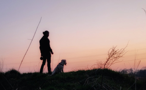 Silhouette of a person and dog at sunset at Stadslandgoed De Heicohoeve - Glamping Lodges Gelderland.