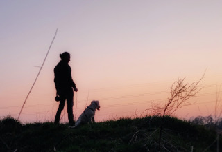 Silhouette of a person and dog at sunset at Stadslandgoed De Heicohoeve - Glamping Lodges Gelderland.
