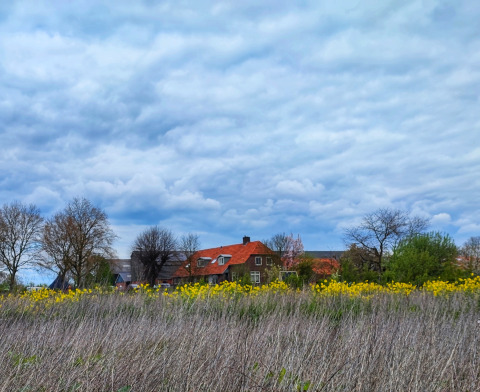Stadslandgoed De Heicohoeve Glamping Lodges Gelderland, red-roofed houses, wildflowers and scenic field.
