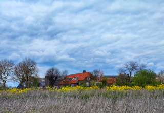 Stadslandgoed De Heicohoeve Glamping Lodges Gelderland, rode daken, bloemen en open natuurrijke weide.