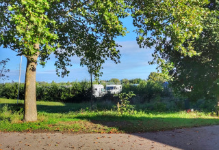 Glamping en Stadslandgoed De Heicohoeve, alojamientos rodeados de naturaleza verde en Gelderland.