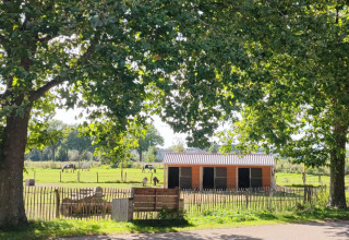 Vista dei glamping lodge di Stadslandgoed De Heicohoeve con campi verdi e alberi a Gelderland.