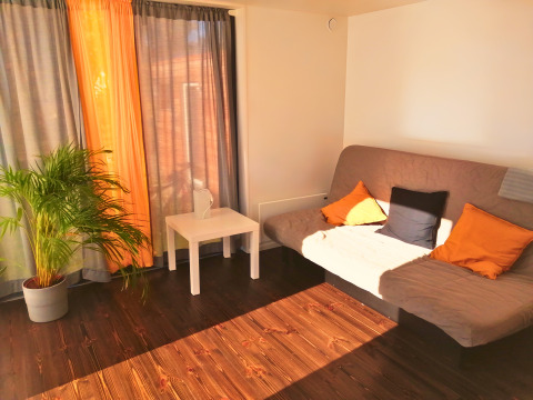 Alojamiento glamping Tiny Lodge - Ellertshäuser See con sofá, cojines, planta y luz solar en el interior.