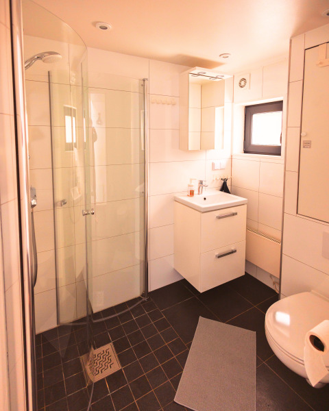 Moderne badeværelse i Tiny Lodge - Ellertshäuser See med brusebad, toilet og håndvask, perfekt til glamping.