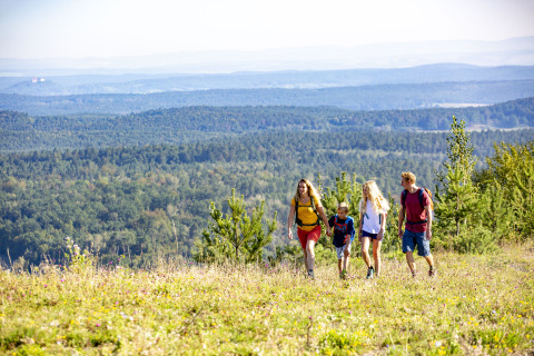 Gezin wandelt bij Tiny lodge - Ellertshäuser See met uitzicht op groene bossen en glooiende heuvels.