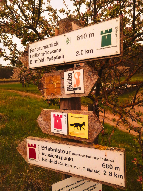 Señales de senderos a rutas de senderismo en Haßberg-Toskana, Birnfeld, con árboles en flor y paisaje primaveral.