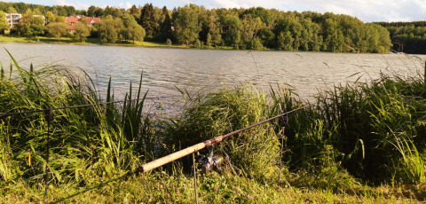 Canne da pesca sulla riva del lago con la Tiny Lodge - Ellertshäuser See tra alberi verdi e ambiente glamping.