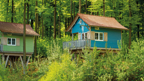 To farverige træhytter på pæle midt i en grøn skov ved Vakantiepark Sorpesee Boomhutten, Nordrhein-Westfalen.