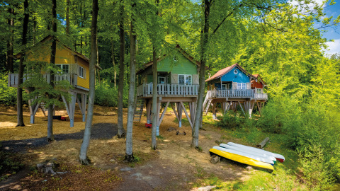 Boomhutten voor glamping in het bos bij Vakantiepark Sorpesee - Boomhutten in Noordrijn-Westfalen, omgeven door natuur.