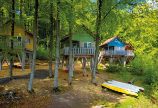 Cabanes dans les arbres pour glamping à Vakantiepark Sorpesee - Boomhutten en Rhénanie-du-Nord-Westphalie, en pleine nature.