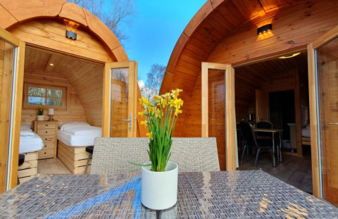 Deux pods en bois pour glamping avec portes ouvertes, terrasse et fleurs, au Campotel Nord-Ostsee en Schleswig-Holstein.