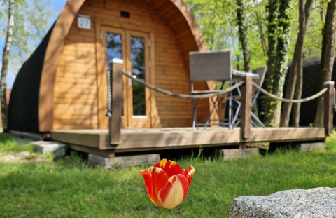 Wooden glamping pod with terrace and outdoor chairs at Campotel Nord-Ostsee - Pods Schleswig-Holstein in spring.