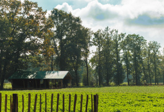 Alojamiento de glamping en Landrijk de Reesprong, cabaña de madera en campo verde con árboles y cielo soleado.