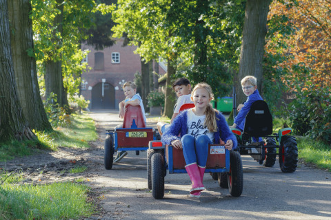Kinder fahren Go-Karts auf einem Waldweg bei Glamping - Landrijk de Reesprong, umgeben von Natur und Bäumen.