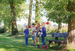 Kinder spielen mit Stöcken und Beuteln im Glamping - Landrijk de Reesprong, umgeben von grüner Natur.