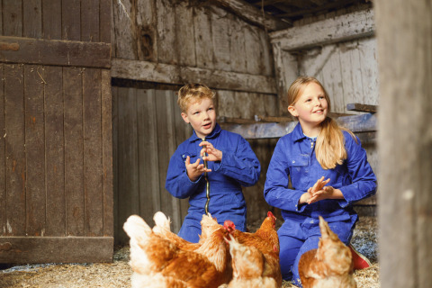 Zwei Kinder in blauen Overalls spielen in einem Stall mit Hühnern bei Glamping - Landrijk de Reesprong.