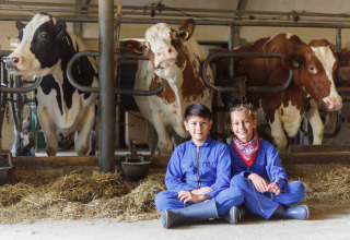 Dos niños con monos azules sentados frente a vacas en un establo en Glamping - Landrijk de Reesprong.