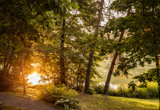 Vista del amanecer en Falkensteiner Premium Camping Blaguš Glamping, junto a un lago y bosque en Eslovenia.