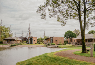 Glamping sul lago a De Betuwse Hofjes - Ranger Lodges Gelderland con lodge moderni immersi nella natura.