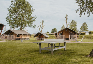 Hébergements glamping à De Betuwse Hofjes - Ranger Lodges Gelderland, entourés de pelouses et d’arbres.