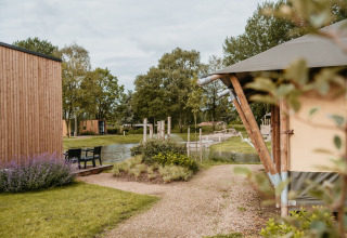 Alojamiento glamping en De Betuwse Hofjes - Ranger Lodges Gelderland con cabañas de madera y vista al estanque.